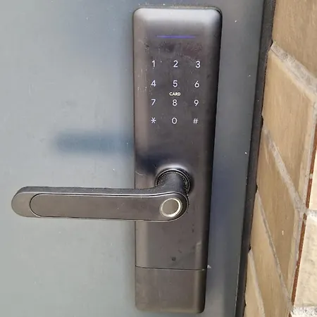 Liepu Takas Daire Palanga